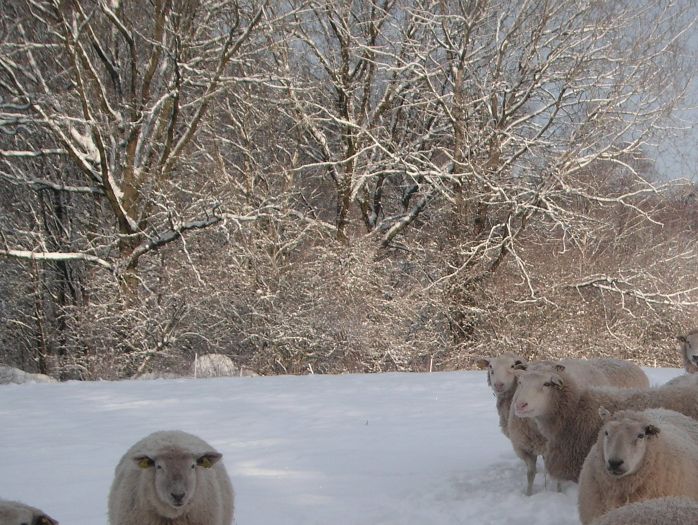 December 2010