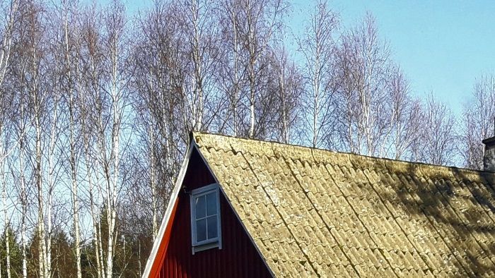 
Älgstugan , ett mysigt 1800 tals torp i skogsområde med underbar 
natur utanför Perstorp i norra Skåne. Här bor ni helt utan insyn av grannar. Inbjuder till sköna promenader med svamp och bär plockning. Spännande karp och gäddfiske finns 700meter från Älgstugan. Finns även möjlighet för vakjakt på vildsvin.
I Älgstugan finns två sovrum, ett med dubbelsäng och ett med två enkelsängar. Kök , allrum , en mindre toalett och en större med dusch. Det finns även en extra stuga med 4 sängplatser mot tillägg.
Braskamin och grill finns , ved ingår. Lakan ,täcken ,örngott , kuddar och handdukar ingår. Takhöjden kan vara lite låg i stora stugan om man är över 195cm.
Städning ingår ej , går att köpa till. Pris: 800kr ,extrastugan 200kr
Incheckning klockan 15 och utcheckning klockan 11.
Husdjur tillåtet.

 Fiska i vår egen sjö !
 Båt ingår.

Varje år släpper vi i Regnbågsöringar vår damm. De lever och äter sig större i våra dammar men kan inte föröka sig där. Regnbågsöring är en mycket god matfisk, det är bara att lägga den på grillen o njuta.

Du köper ditt fiskekort det kostar 200 kr och då får du ta upp två fiskar, barnfiskekortet kostar 100 kr (en fisk). Om du vill fiska mer, köper du ett nytt fiskekort innan du fortsätter fiska.
Gräskarp som fångas ska släppas tillbaka.

Du får inte sportfiska dvs ta upp fisken och sen slänga tillbaka den igen, utan regnbågsfisk ni tar upp ska tas till vara.
Fina möjligheter till fiske finns även i närliggande fiskevatten : Emmasjön , Bälingesjön , Ybbarpssjön och Svenstorpssjön. Alla i närområdet.


Högsäsong (vecka 25-35 )
1 vecka 6500 sek (extra stuga +2200 sek ) minst 7 dygn.

I mån av plats även dygnspris

Lågsäsong ( vecka 1-24   36-52 )
1 vecka 5500 sek ( extra stuga + 1800 sek )

Per dygn 1300 sek ( extra stuga + 700 sek ) minst 2 dygn
Storhelg: Påsk , Midsommar Jul och Nyår minst 3 dygn.

Badtunna finns att hyra . Pris 1500kr fre-sön , framkörning och ved ingår.




OBS! OBS !
Vid frågor eller bokning ring eller maila
OBS!

Sven-Erik 070 6664064  Therese-Marie 072 5216250

svenerik.kristoffersson@telia.com

Ring gärna om ni undrar över något

 Nära till: bad, fiske, golf
    
  
   
   
