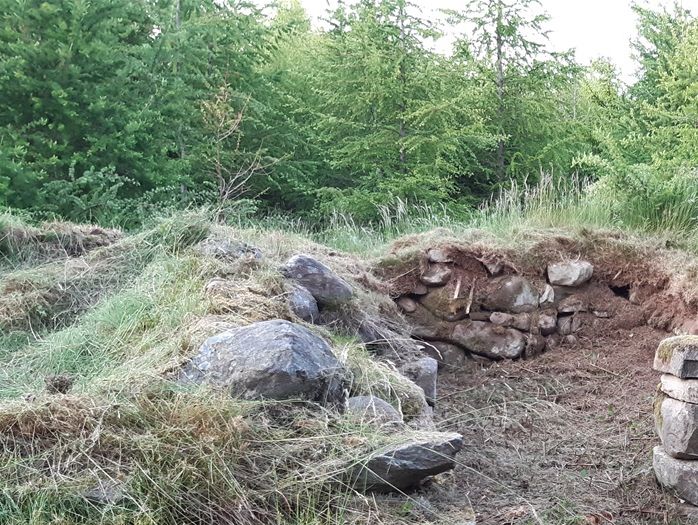Torp ruin 