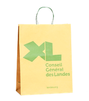 un sac kraft naturel avec des poignées torsadées sérigraphie 1 couleur Bordeaux Toulous Paris Avignon Mont de Marsan Dax