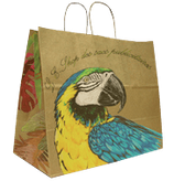 un-sac-en-kraft-brun-avec-des-poignées-torsadées-personnalisé-en-quadrichromie-flexographiée-à-Bordeaux-Avignon-Paris-Tulles