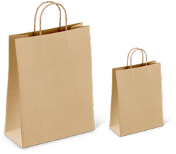 deux-sacs-kraft-brun-naurel-avec-des-poignées-torsadées-au-format-25x10x32xcm-Bordeaux-Toulous-Paris-Avignon-Albi-Arles-Nimes