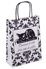 Sac en kraft blanc avec des poignées torsadées personnalisé en flexographie 1 couleur pour boutique de Bordeaux et bayonne