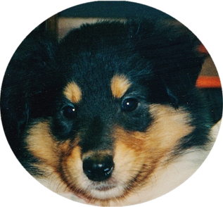 Gorgeous Baby Little Heike-mother