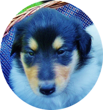 Baby TengelMan