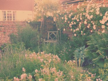 Love your soil