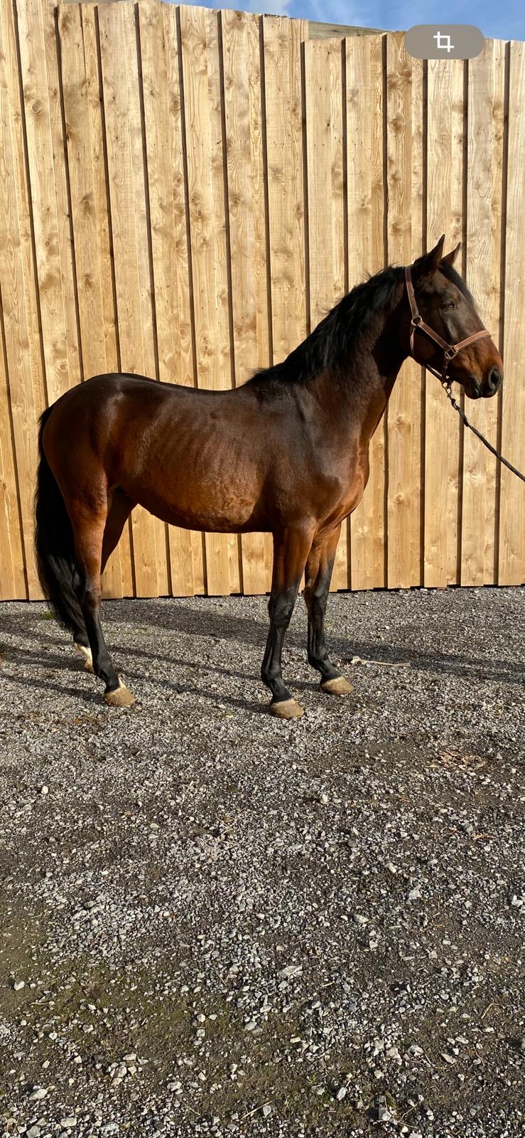 0c3942af-458b-4dc4-bacc-9b801ed15e25