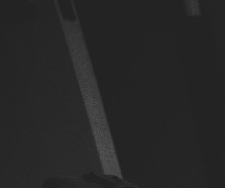 unsplash_Ks7Kxfry6Lc