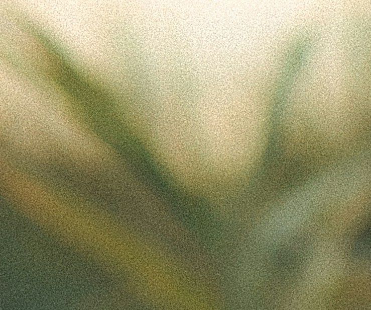 unsplash_SPeG3QbAlyk