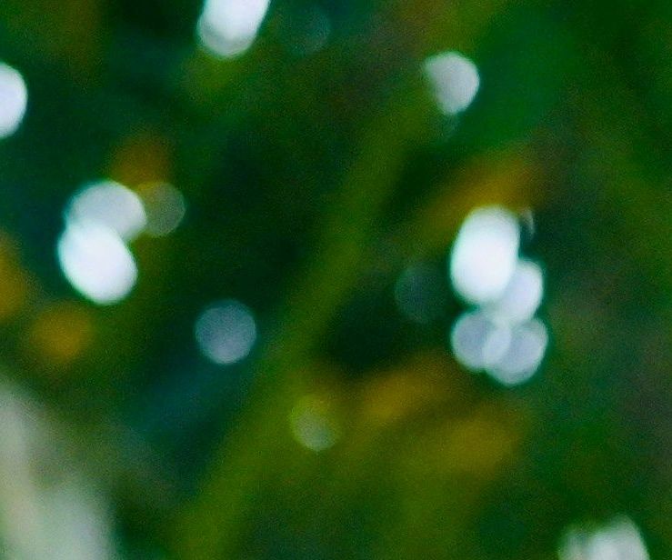 unsplash_oGLA4iBwc2s