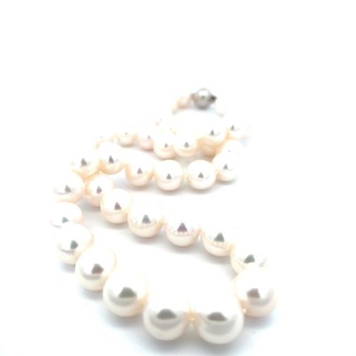 Parelcollier