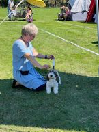 IMG_2226