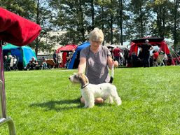 IMG_2678