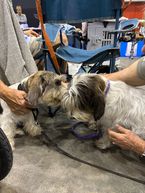 IMG_2831