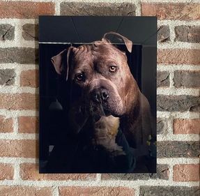 Afdruk op plexiglas