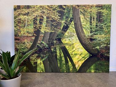 Afdruk op canvas