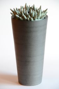 EE 1