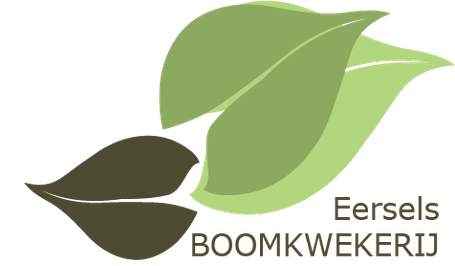 Boomkwekerij Eersels