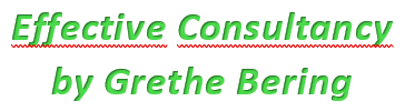 Effective Consultancy by Grethe Bering