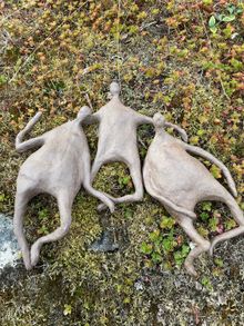 Skulptur Natur