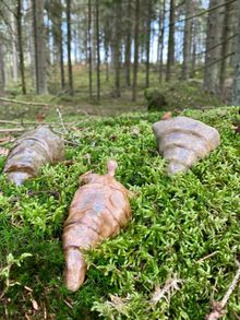 Skulptur Natur