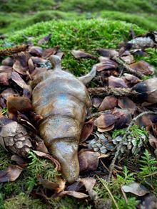Skulptur Natur