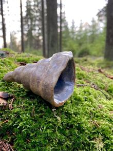 Skulptur Natur