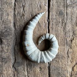 Wall Sculpture