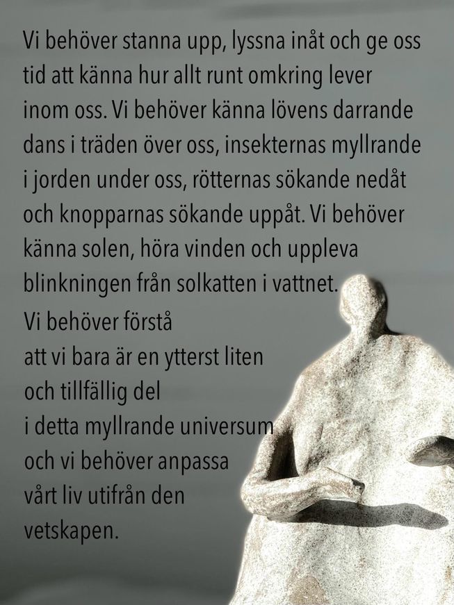 Conclusion