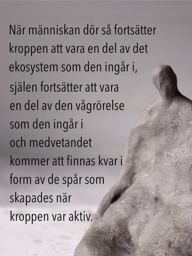 Conclusion