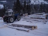Skogsdrift