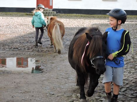 Ponyparade, nu også med storebror
