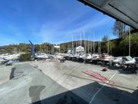 IMG_9979