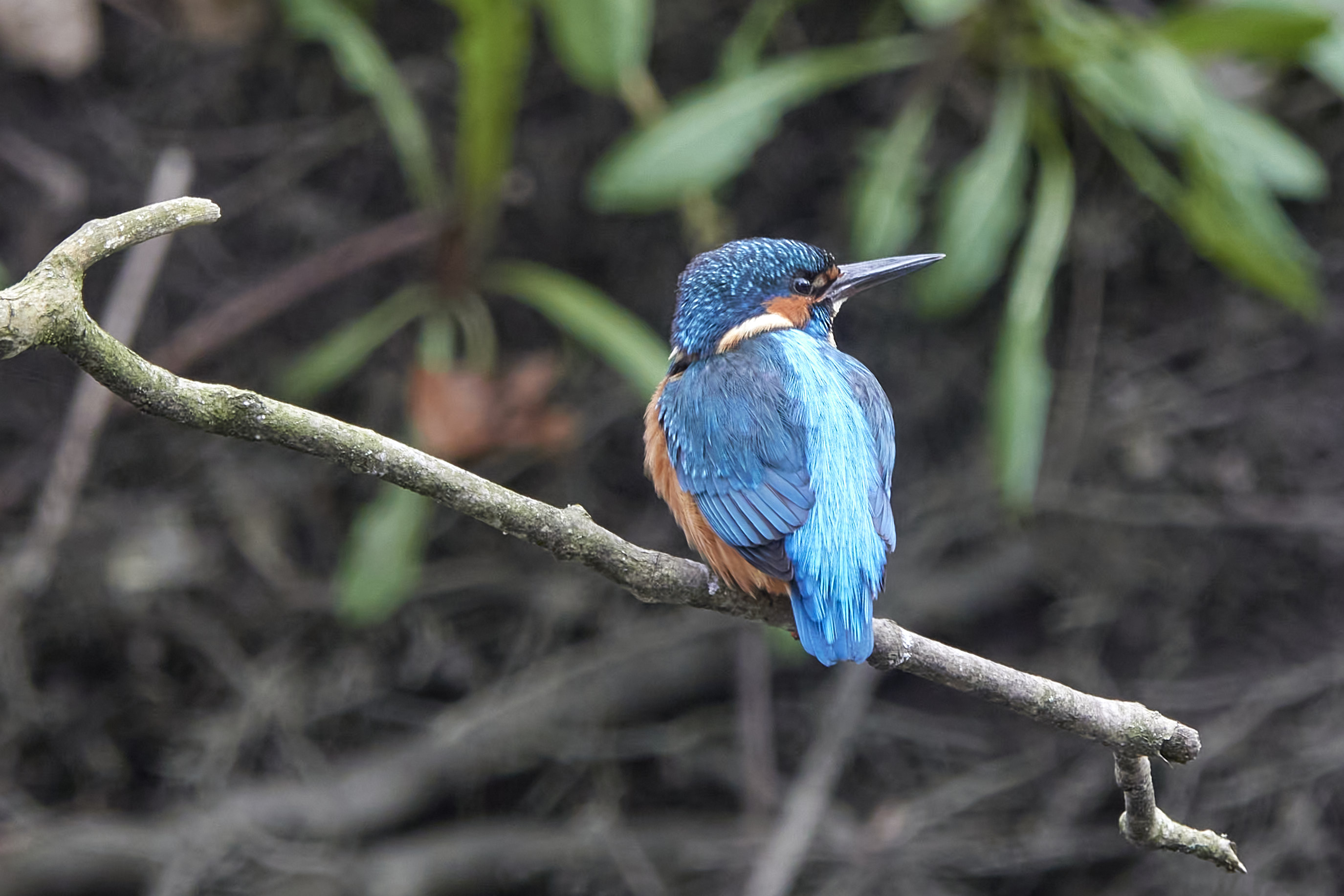 Hvidbjerg Å den 25. april 2023