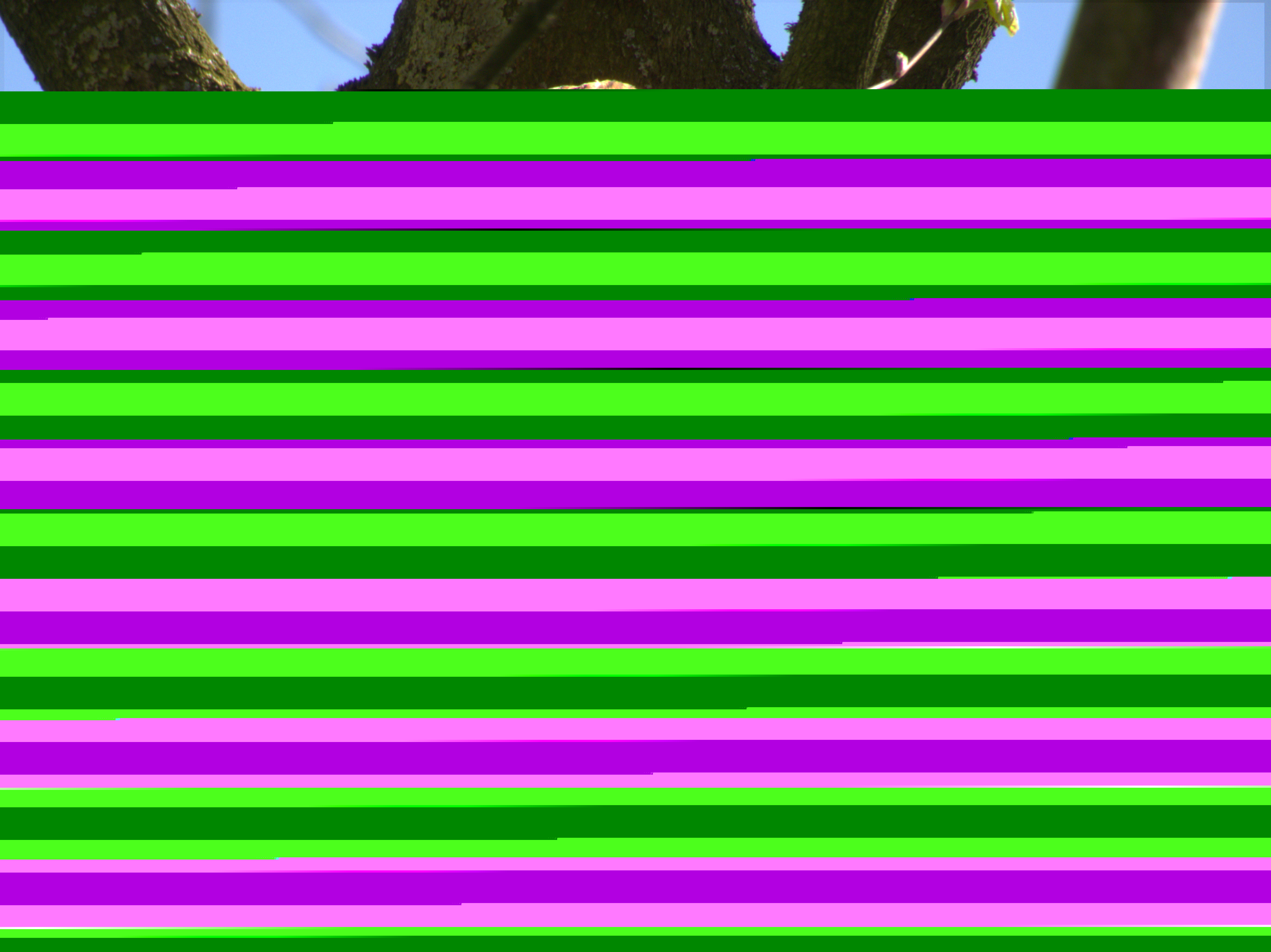 Natugle (29)