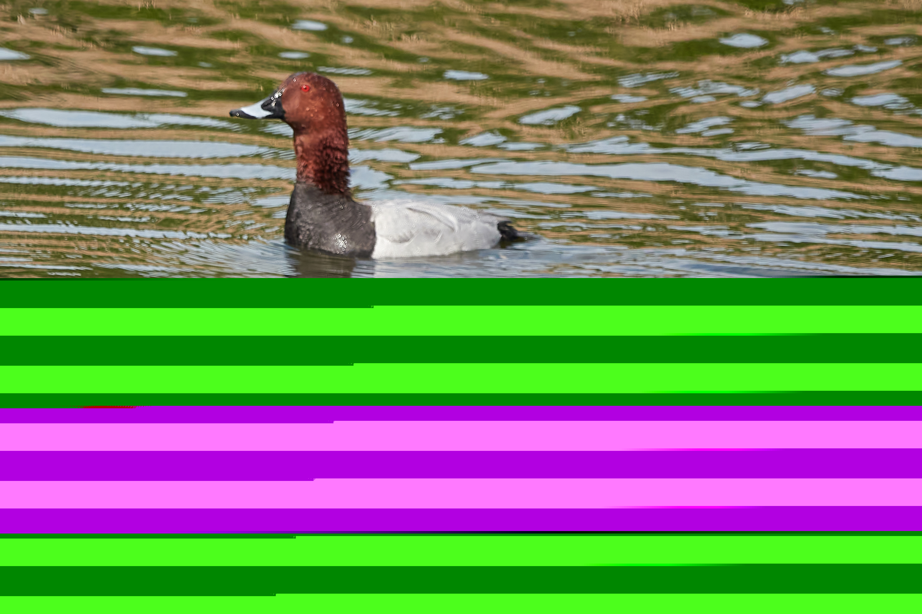 Korsør den 2. maj 2025