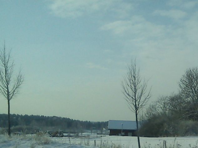 Vinterbild från Ekerö