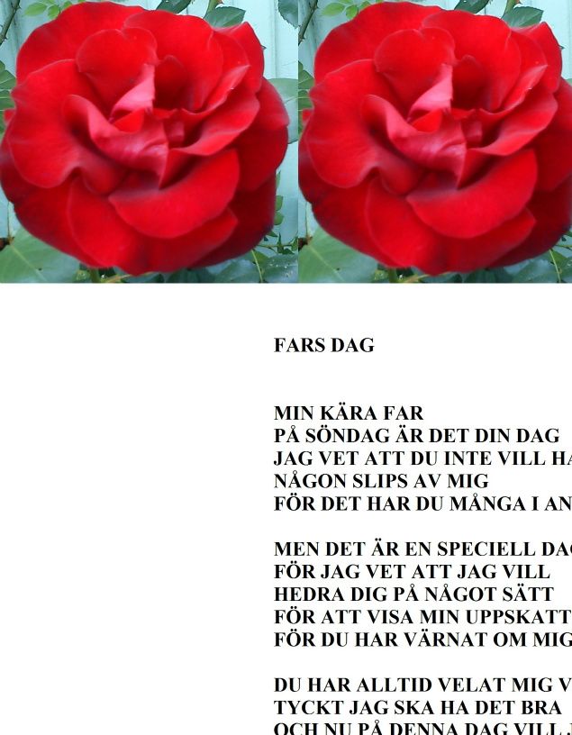 Säger Grattis till far där han är! Saknar dig!

Detta skrev jag till pappa då han levde.