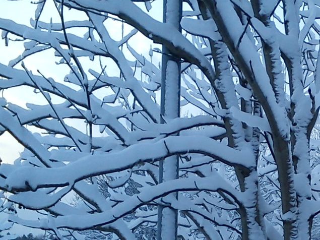 Nu har snön kommit!