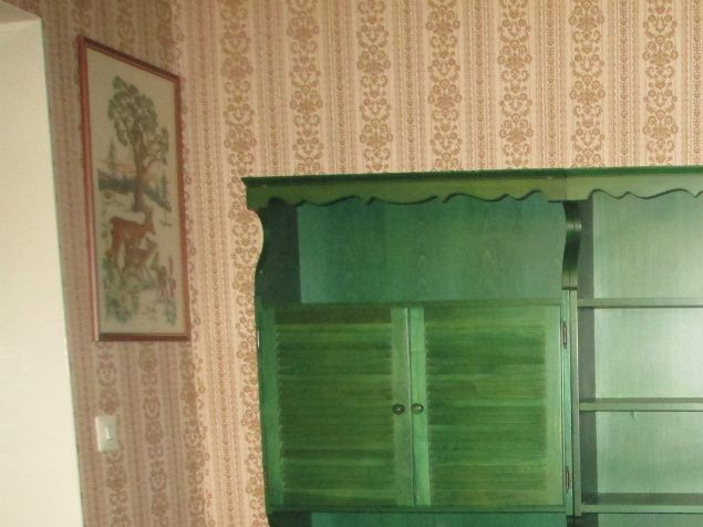 Har svårt att skiljas från 1970-tals bokhylla med många förvaringsmöjligheter och snygg designat i grön bets.