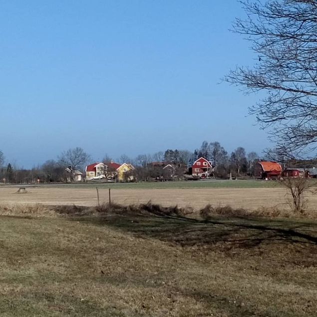 Några fina dagar och förhoppningsvis är våren på väg.