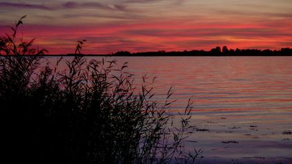 Naturfoto 028