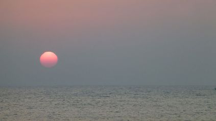Naturfoto 033
