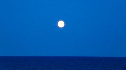 Naturfoto 037