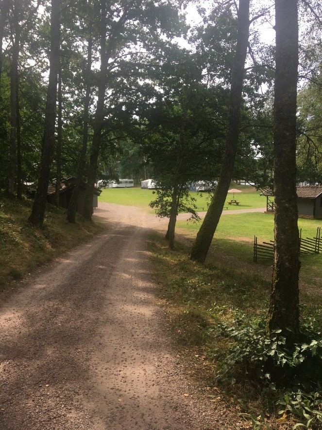 Kalvs Camping 5