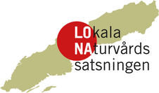 LNS