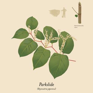 Parkslide