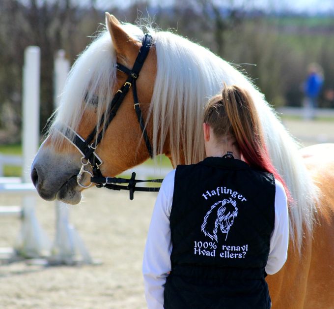 Til Pony Hingste show på Team Cape d. 6. april 2015 Stallone af Elghuset og Mathilde Larsen