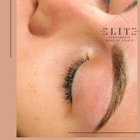 POWDERBROWS 