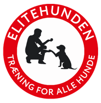 Hundetræning horsens